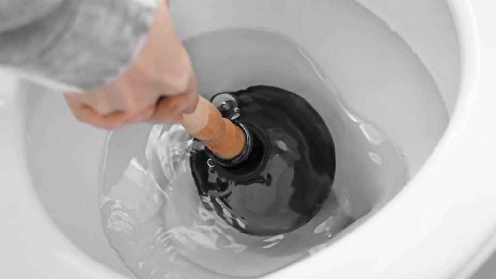 Como desentupir vaso sanitário com fezes e papel higiênico: dicas ...